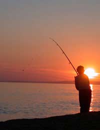 All About Angling Holidays