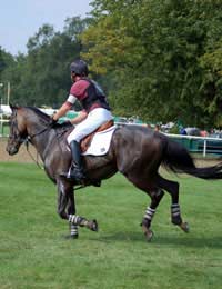 Riding Types English Riding Show Jumping