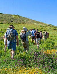 All About Joining A Rambling Group