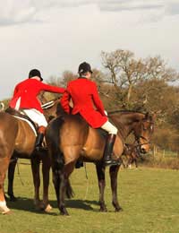 Arguments For Hunting Fox Hunting Pro