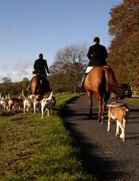 Fox Hunting Hunt Monitor Saboteur