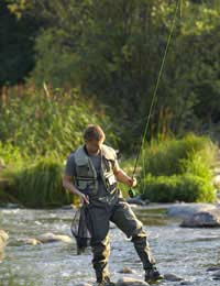 Fishing Equipment Fishing Rods Fishing