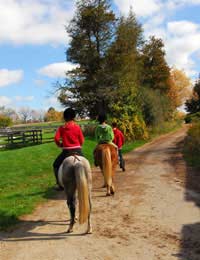 Introduction To Horse Riding Getting