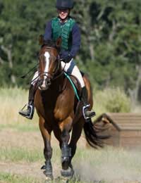 Riding Lessons