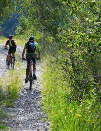 Cycling Rural Sport Challenge Pannier